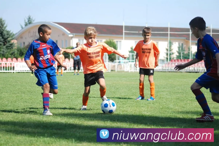 多媒体互动体验